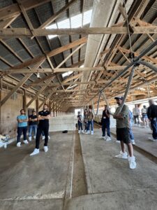 IMG_1650